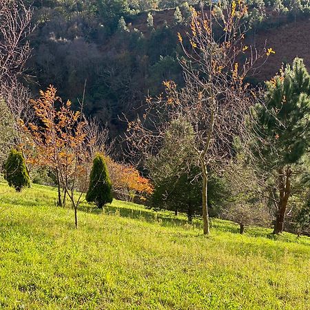 Finca Portizuelo Луарка Экстерьер фото
