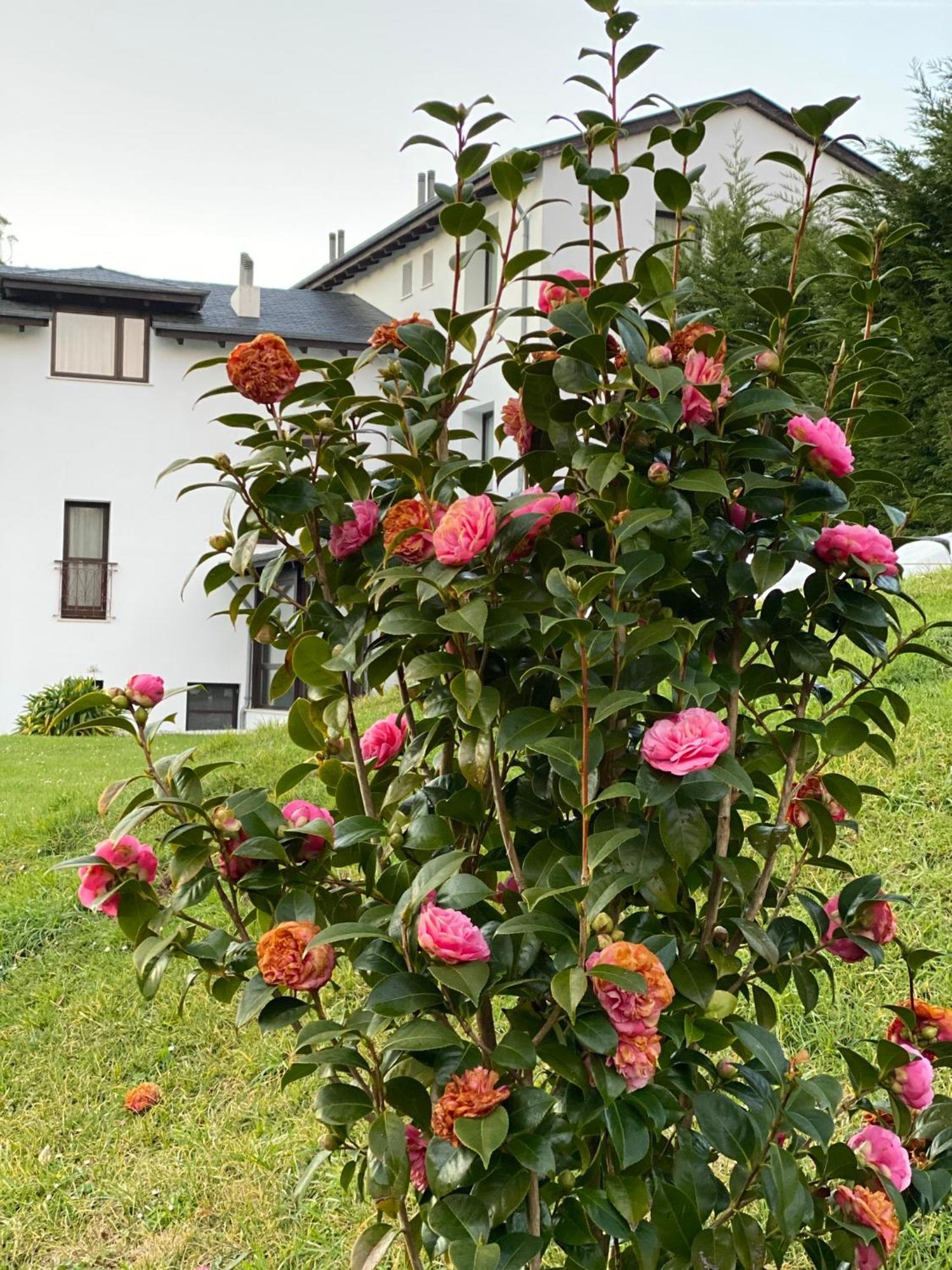Finca Portizuelo Луарка Экстерьер фото