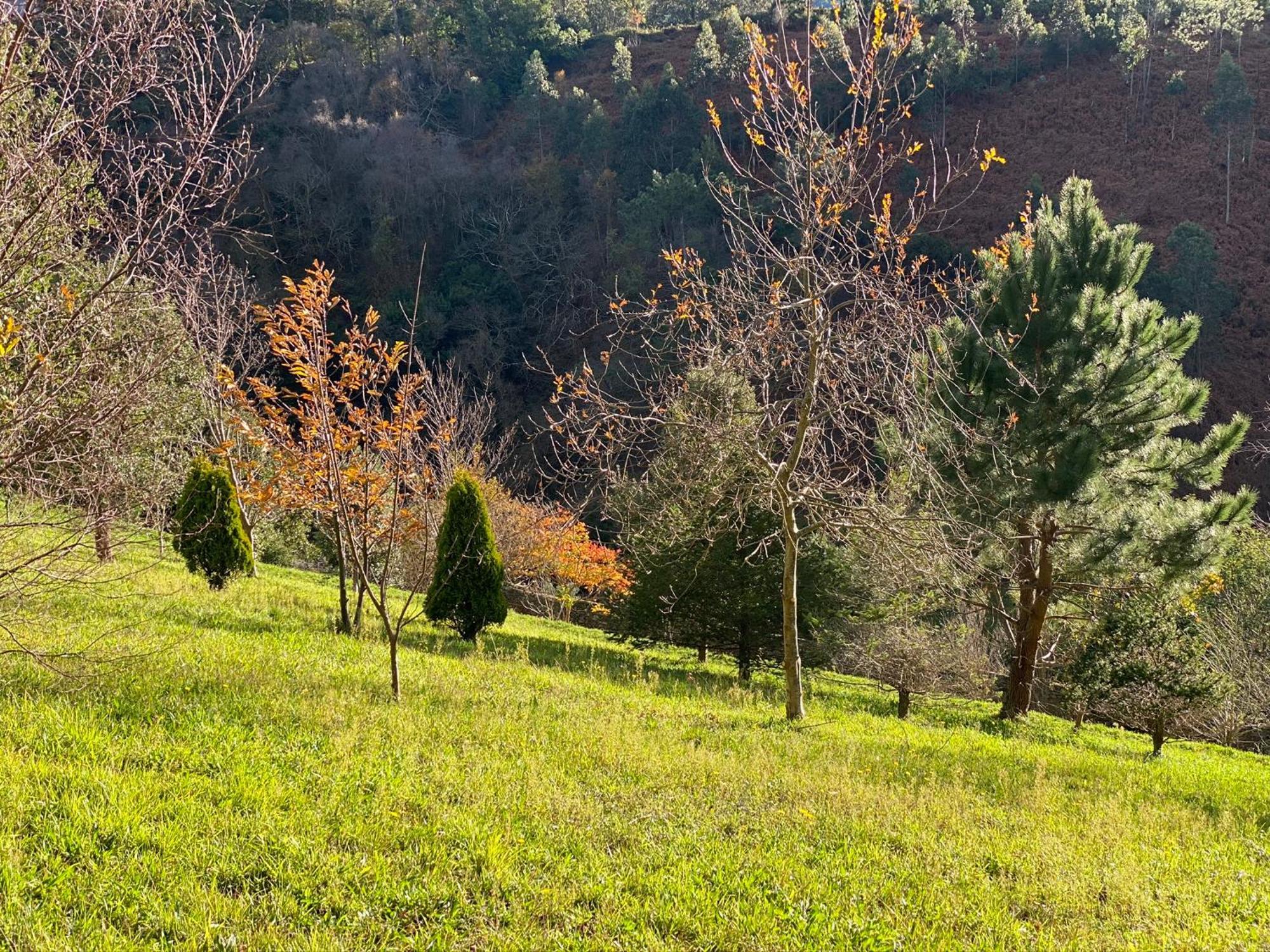 Finca Portizuelo Луарка Экстерьер фото