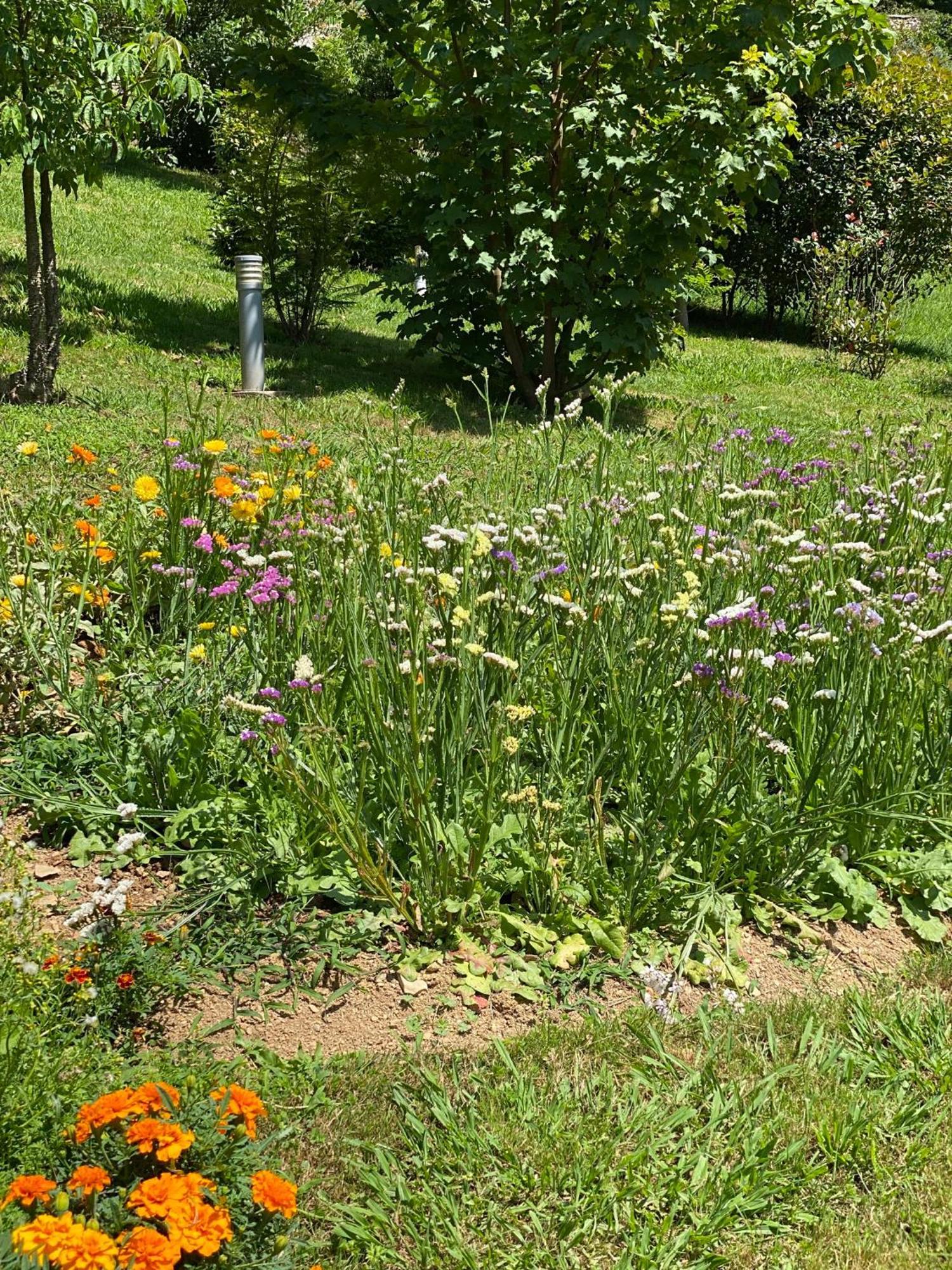 Finca Portizuelo Луарка Экстерьер фото