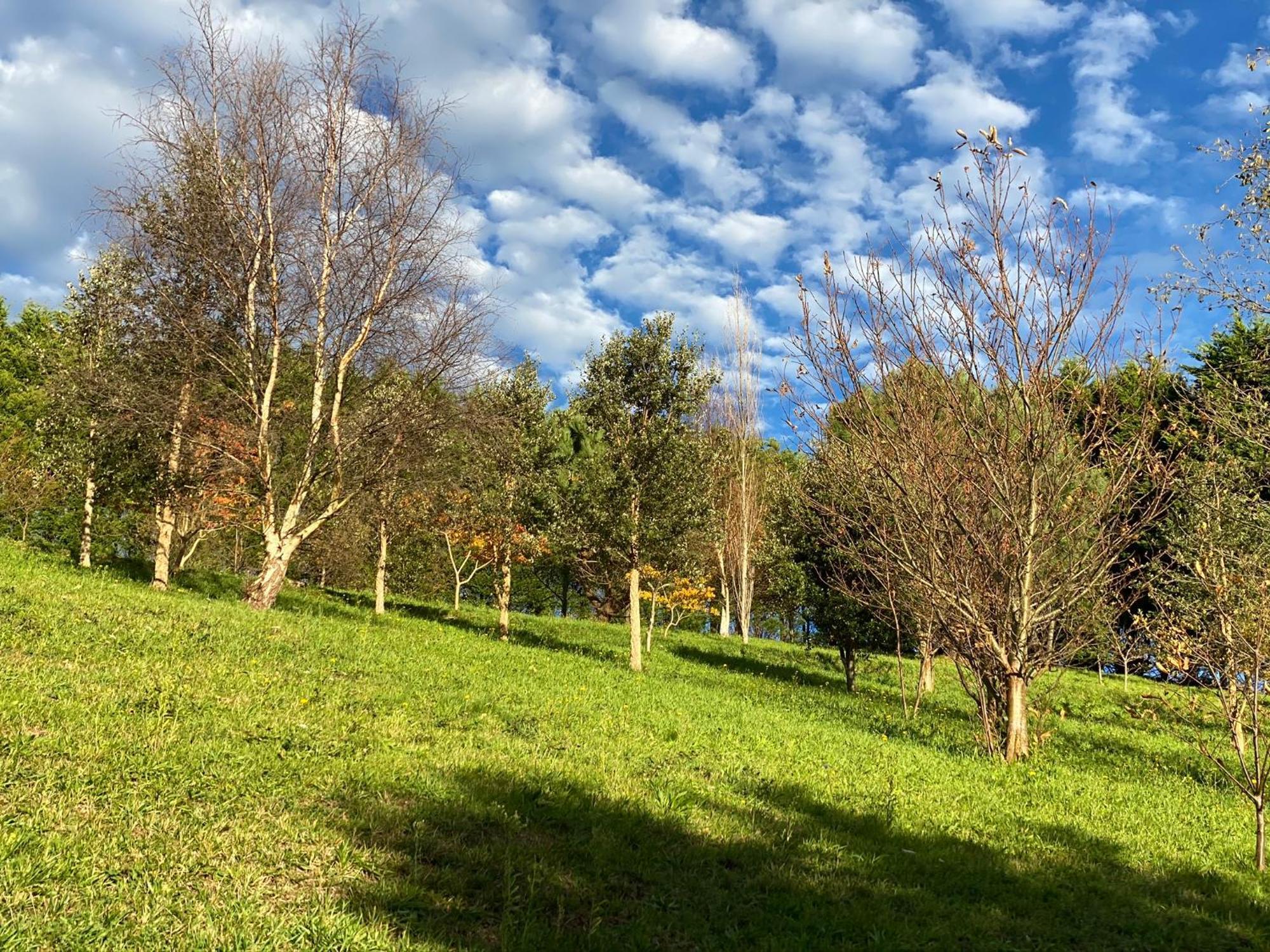 Finca Portizuelo Луарка Экстерьер фото