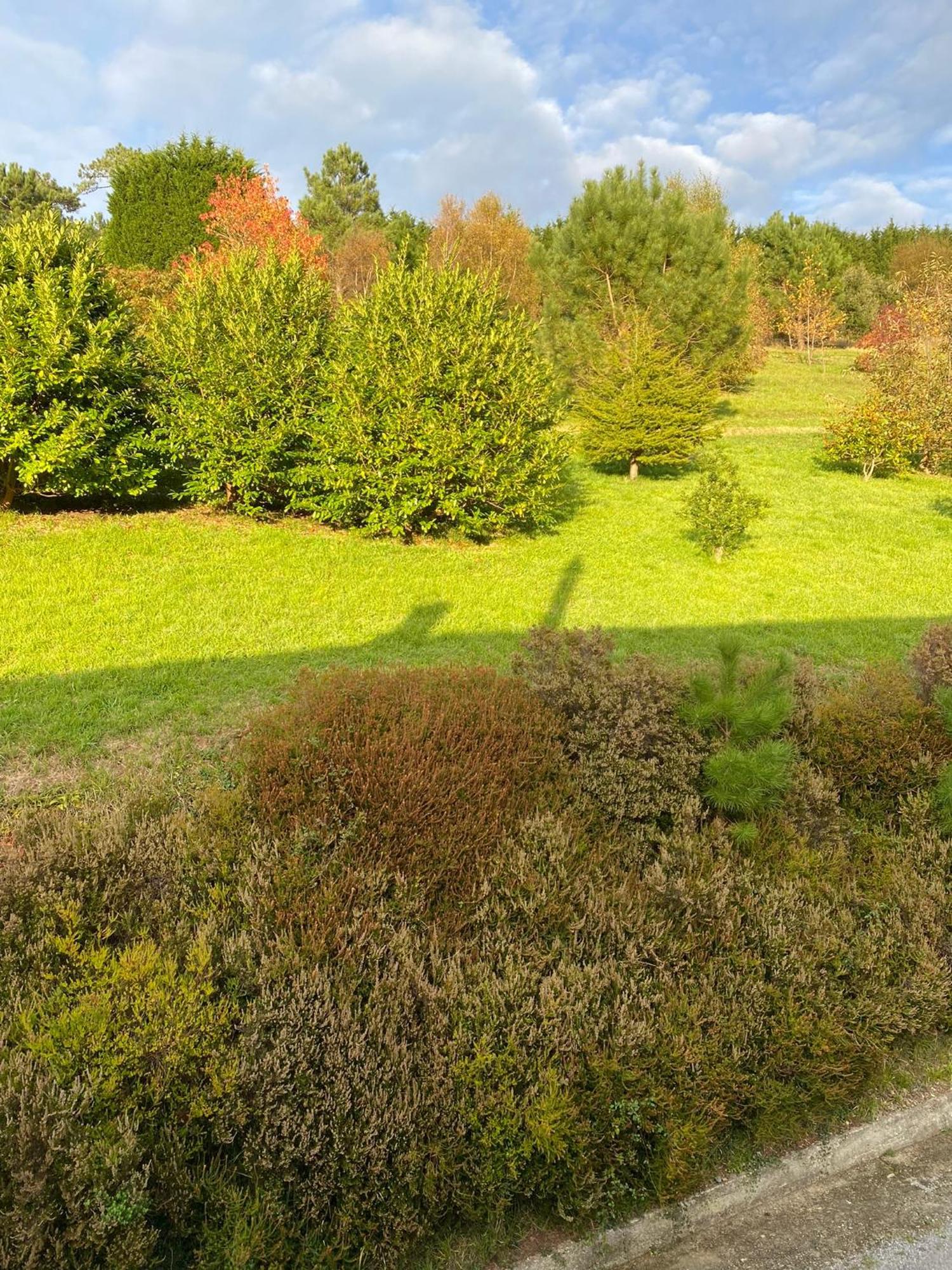Finca Portizuelo Луарка Экстерьер фото