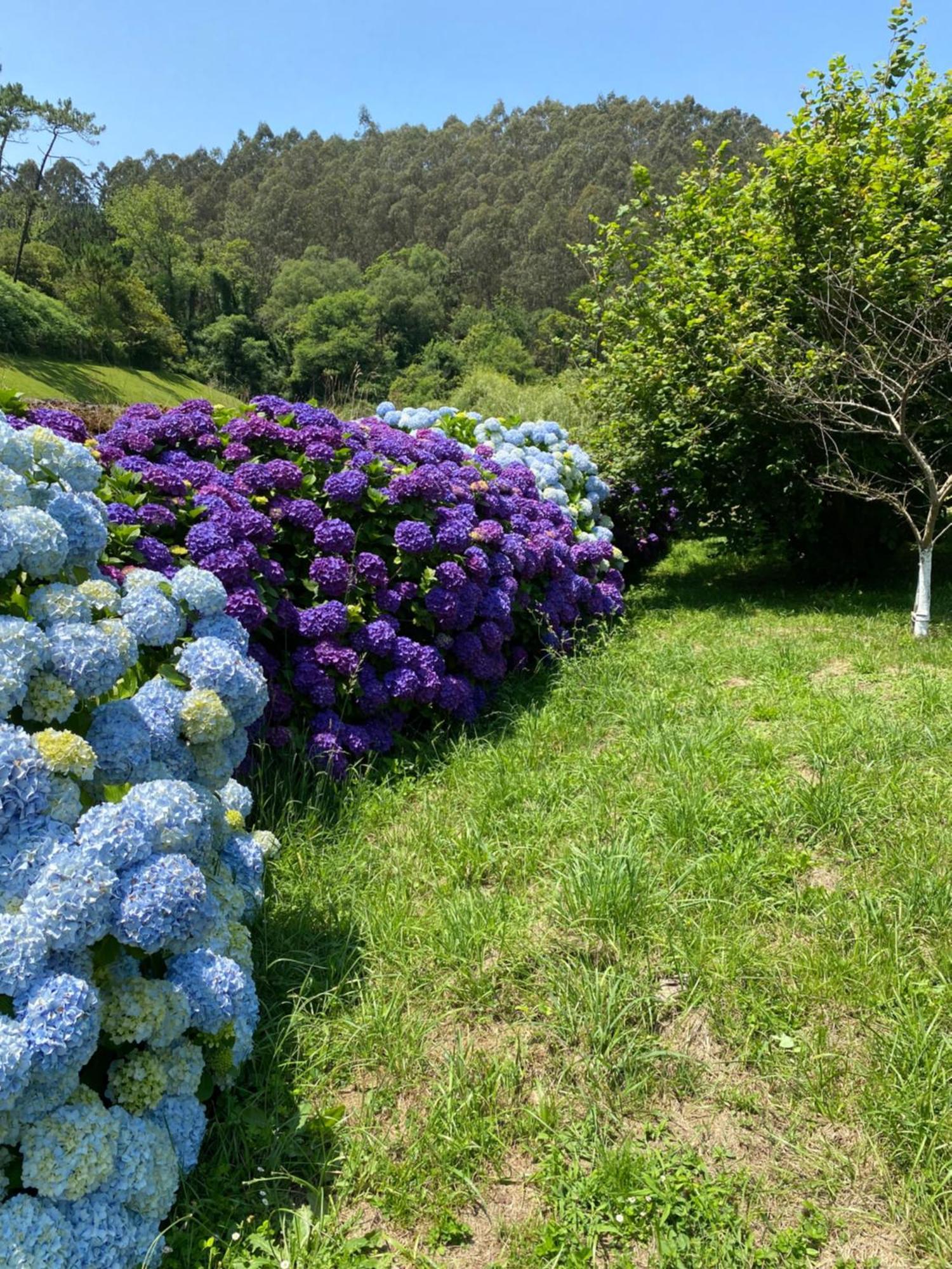 Finca Portizuelo Луарка Экстерьер фото