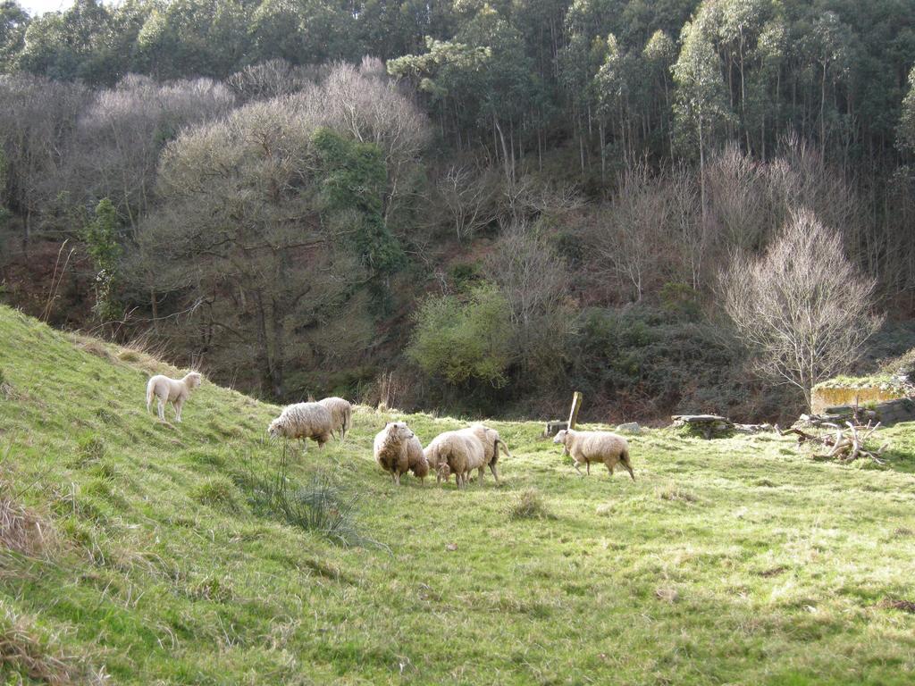 Finca Portizuelo Луарка Экстерьер фото