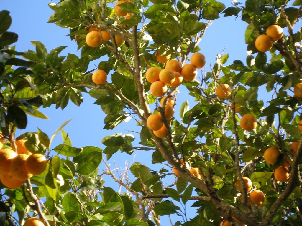 Finca Portizuelo Луарка Экстерьер фото